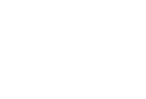 A diagram of three circles with the words " align ", " hire ," and " lead."
